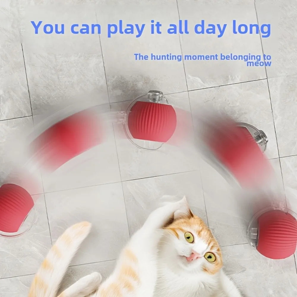 Automatic Rolling Pet Balls Set
