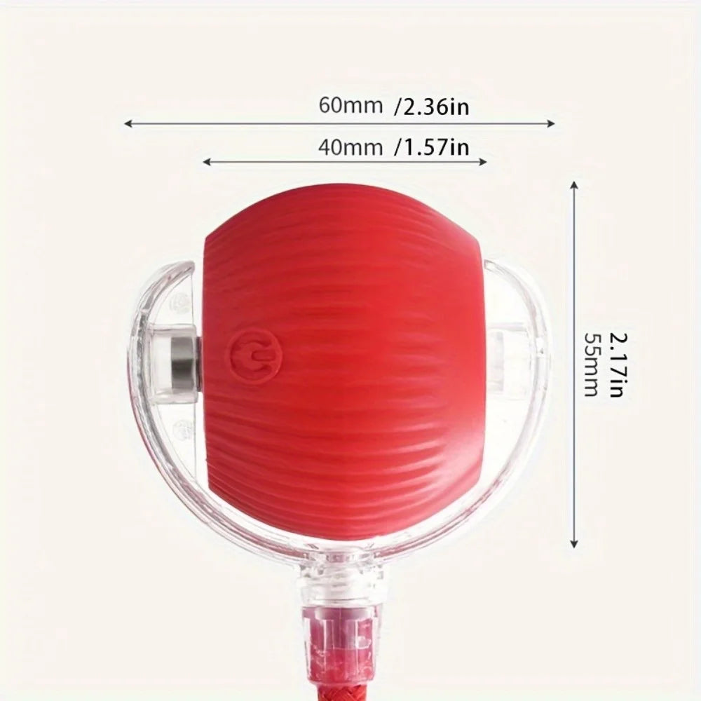 Automatic Rolling Pet Balls Set