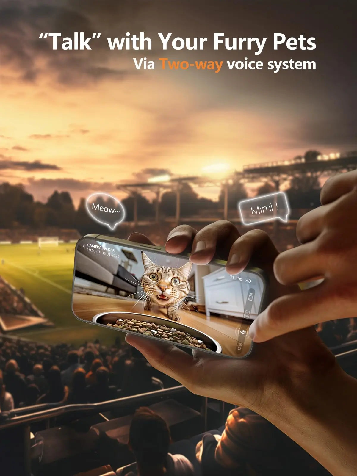 Smart Automatic Cat Feeder