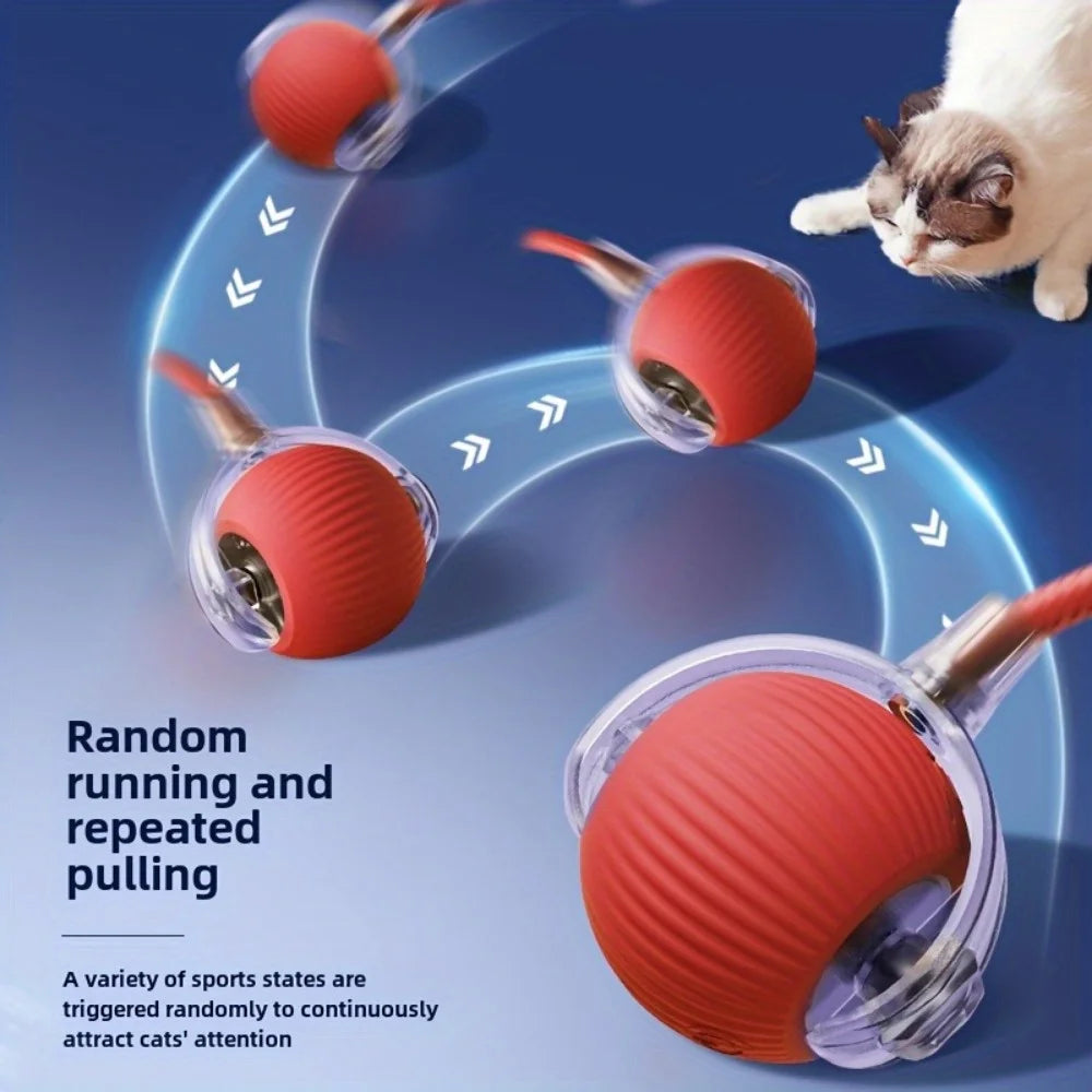 Automatic Rolling Pet Balls Set