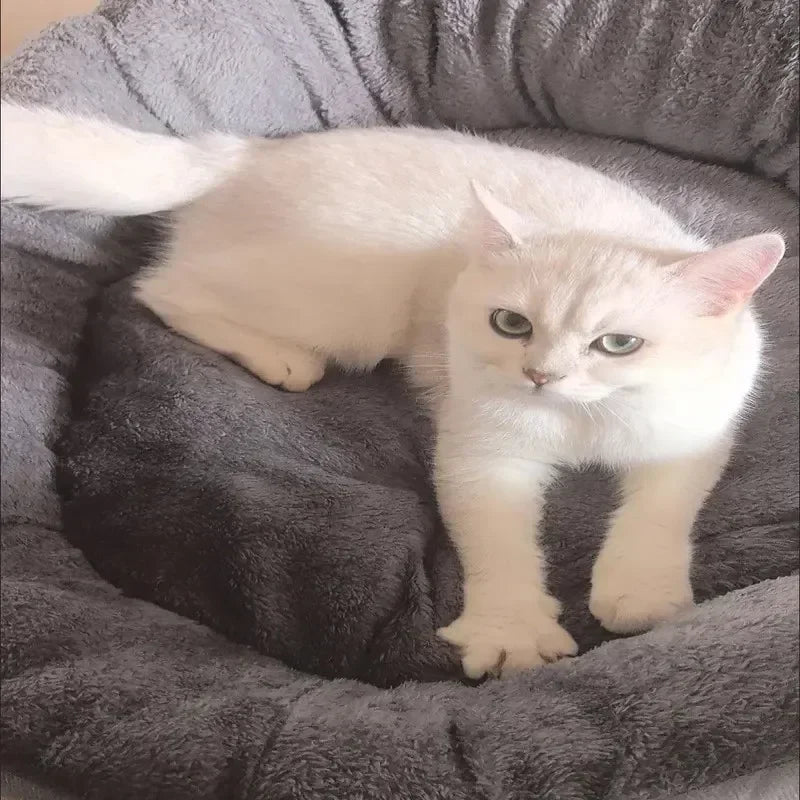 Soft Warm Dog & Cat Bed